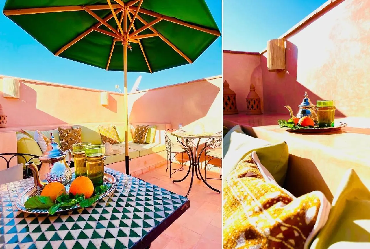 Location Exclusive Avec Services 2P Donkey In Love To Marrakech Marrakesh
