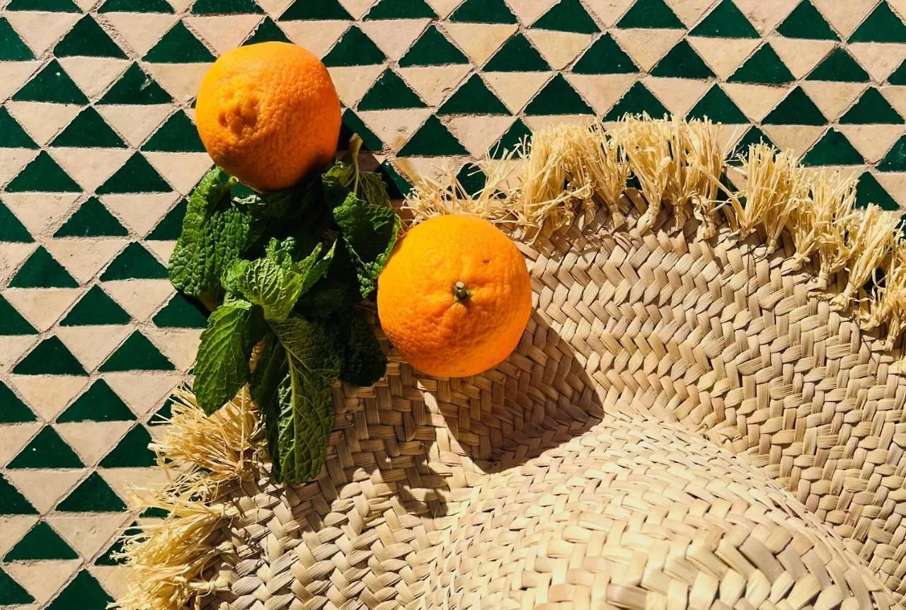 Location Exclusive Avec Services 2P Donkey In Love To Marrakech Marrakesh